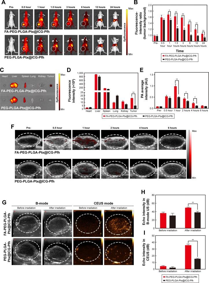 https://cdn.ncbi.nlm.nih.gov/pmc/blobs/db59/6135220/4a7f48d8280a/ijn-13-5139Fig4.jpg