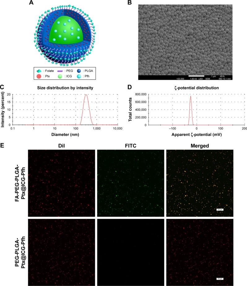 https://cdn.ncbi.nlm.nih.gov/pmc/blobs/db59/6135220/730bbe07a2cd/ijn-13-5139Fig1.jpg