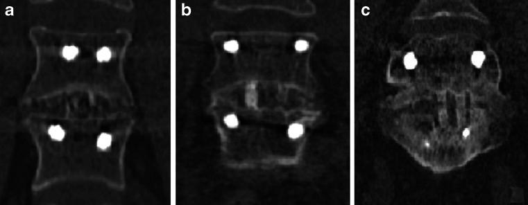 https://cdn.ncbi.nlm.nih.gov/pmc/blobs/db5a/4589546/0fa4089cb350/259_2015_3154_Fig2_HTML.jpg