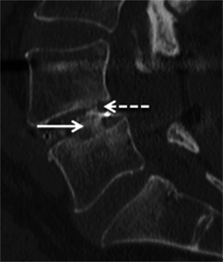 https://cdn.ncbi.nlm.nih.gov/pmc/blobs/db5a/4589546/656dca787b87/259_2015_3154_Fig1_HTML.jpg