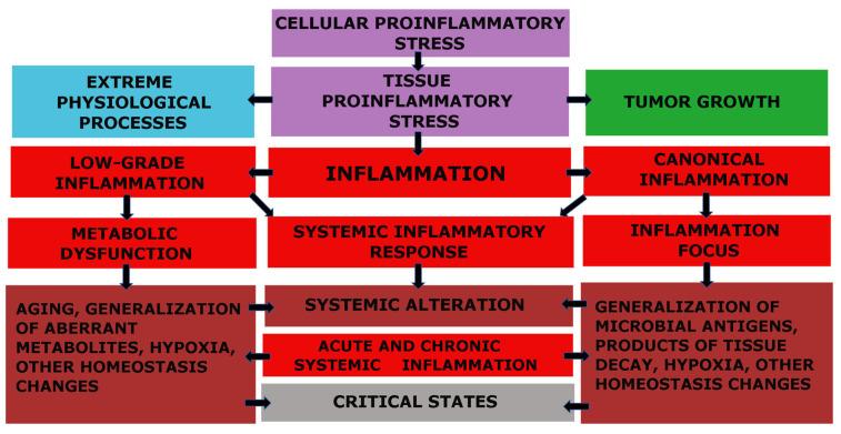 https://cdn.ncbi.nlm.nih.gov/pmc/blobs/db5b/10178362/caf07b2dd06c/ijms-24-07910-g001.jpg