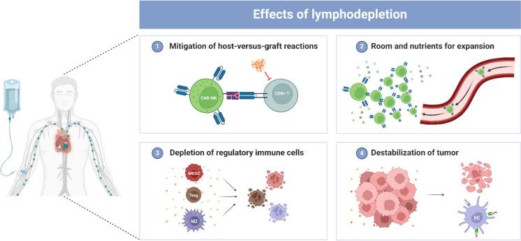 https://cdn.ncbi.nlm.nih.gov/pmc/blobs/db5c/11951618/060963e72104/40164_2025_633_Fig6_HTML.jpg
