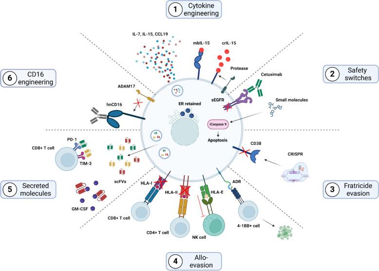 https://cdn.ncbi.nlm.nih.gov/pmc/blobs/db5c/11951618/ac3063153e09/40164_2025_633_Fig3_HTML.jpg