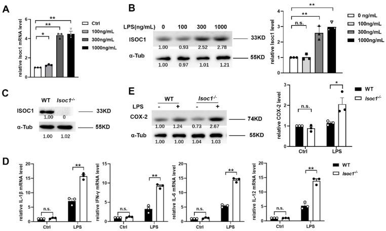 https://cdn.ncbi.nlm.nih.gov/pmc/blobs/db5d/9505204/2ec4048ccab5/molecules-27-05896-g001.jpg