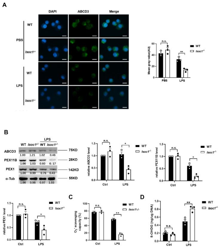 https://cdn.ncbi.nlm.nih.gov/pmc/blobs/db5d/9505204/76d32d65c50e/molecules-27-05896-g003.jpg