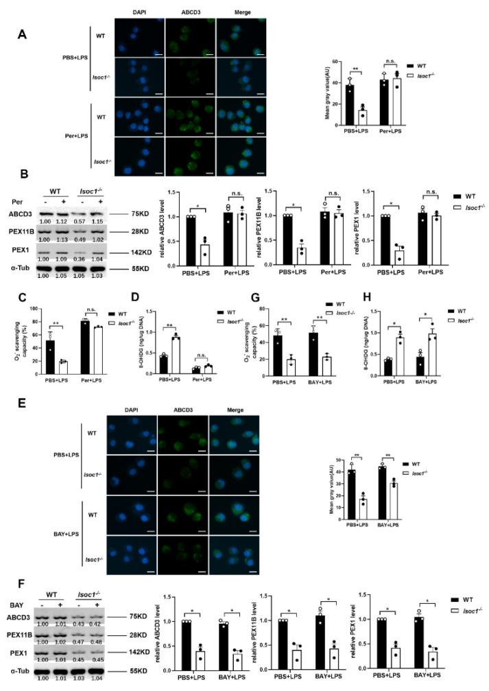 https://cdn.ncbi.nlm.nih.gov/pmc/blobs/db5d/9505204/77b53ad3863e/molecules-27-05896-g004.jpg