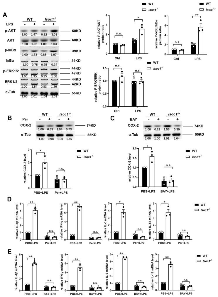 https://cdn.ncbi.nlm.nih.gov/pmc/blobs/db5d/9505204/c46dce50bff2/molecules-27-05896-g002.jpg