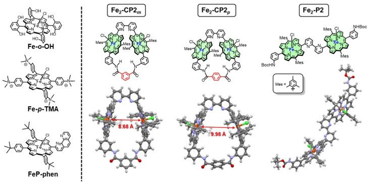 https://cdn.ncbi.nlm.nih.gov/pmc/blobs/db63/11174001/5b86e655e93a/molecules-29-02453-g001.jpg