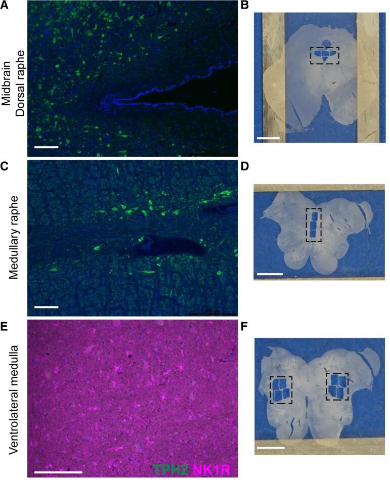 https://cdn.ncbi.nlm.nih.gov/pmc/blobs/db63/9344977/63d54e09113c/fcac186f1.jpg