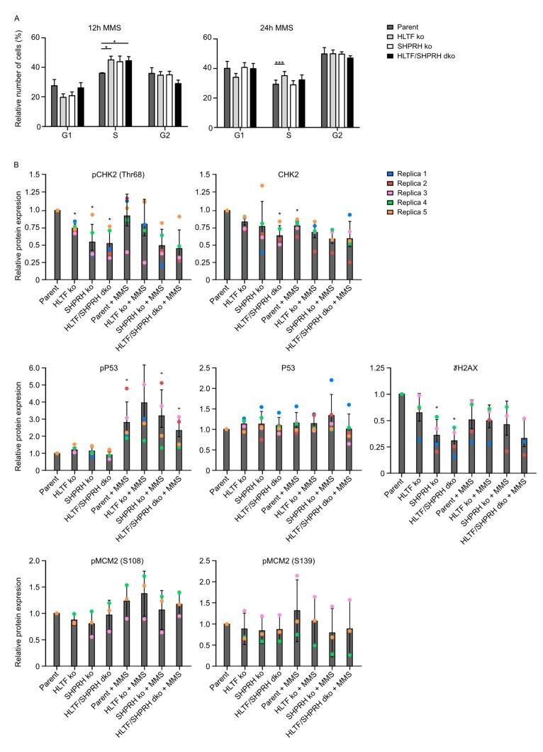 https://cdn.ncbi.nlm.nih.gov/pmc/blobs/db66/7175315/bf14a336ec2f/biomolecules-10-00463-g005.jpg