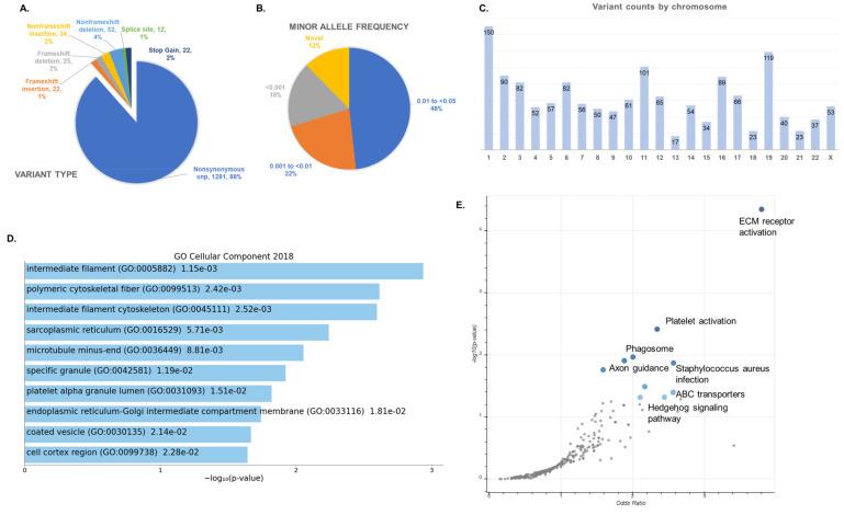 https://cdn.ncbi.nlm.nih.gov/pmc/blobs/db66/8235452/7b42929297a8/genes-12-00922-g002.jpg