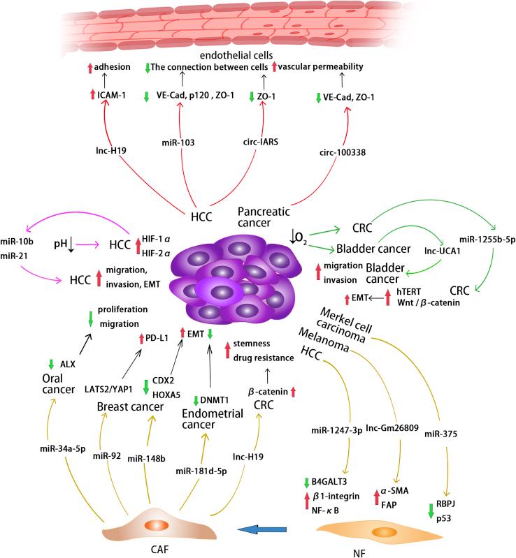 https://cdn.ncbi.nlm.nih.gov/pmc/blobs/db66/9207556/63378a32a663/gr3.jpg