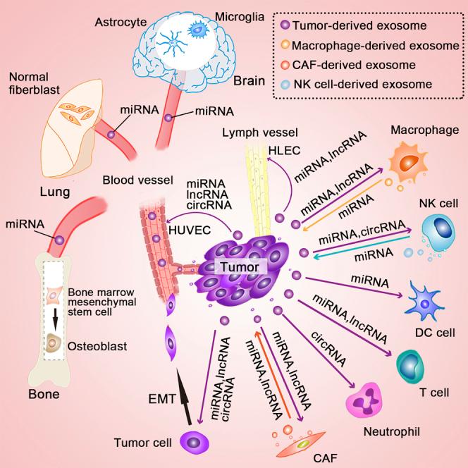 https://cdn.ncbi.nlm.nih.gov/pmc/blobs/db66/9207556/e65c46e1ecfc/fx1.jpg