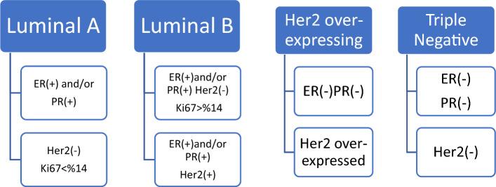 https://cdn.ncbi.nlm.nih.gov/pmc/blobs/db68/11178796/6b0a42fba637/41598_2024_64692_Fig1_HTML.jpg