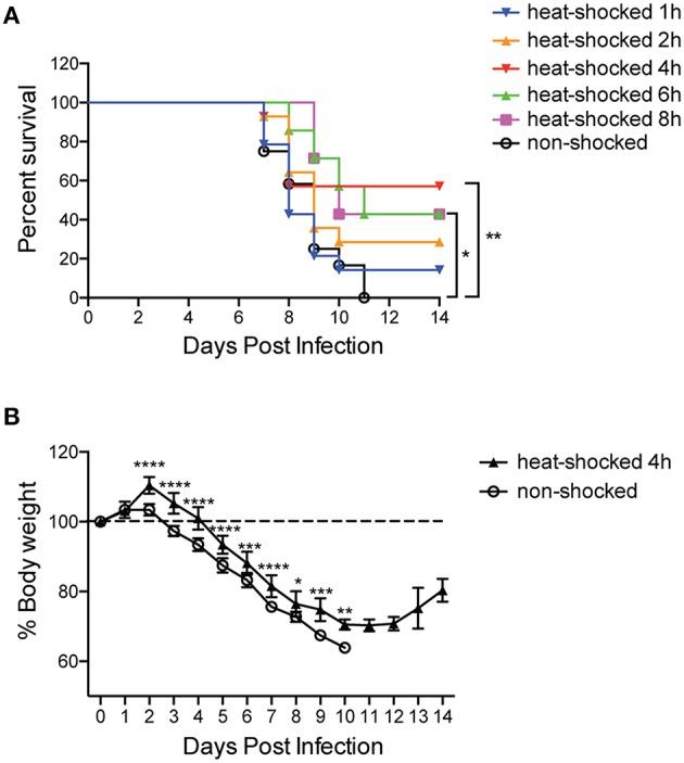 https://cdn.ncbi.nlm.nih.gov/pmc/blobs/db68/4908103/81a9fe4568b1/fmicb-07-00924-g0001.jpg