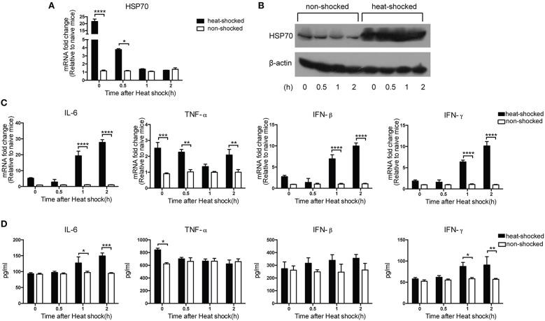 https://cdn.ncbi.nlm.nih.gov/pmc/blobs/db68/4908103/c02e37af781a/fmicb-07-00924-g0003.jpg