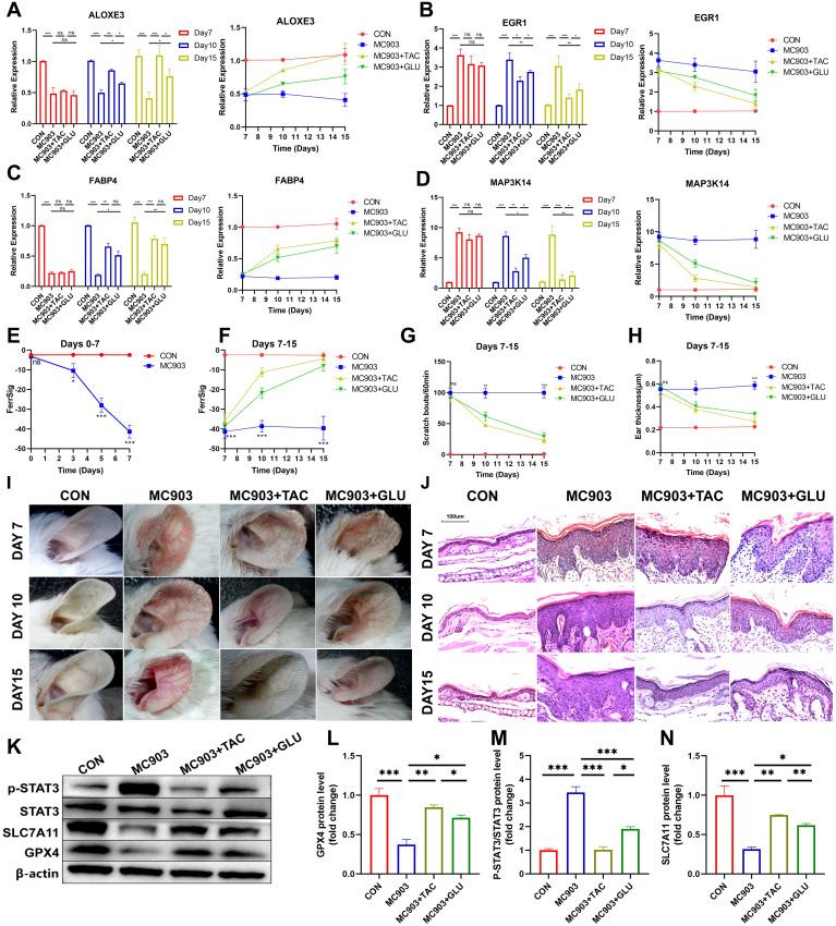 https://cdn.ncbi.nlm.nih.gov/pmc/blobs/db69/11412816/9613b325dcba/fimmu-15-1412382-g007.jpg