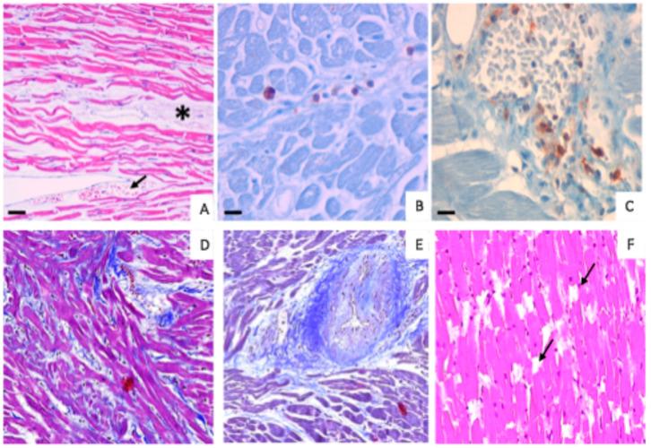 https://cdn.ncbi.nlm.nih.gov/pmc/blobs/db69/12026069/09aef7215b1c/diagnostics-15-00999-g002.jpg