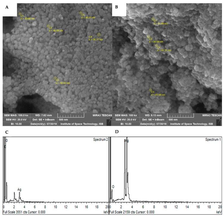 https://cdn.ncbi.nlm.nih.gov/pmc/blobs/db6a/6722760/376eee18d441/biomolecules-09-00320-g004.jpg