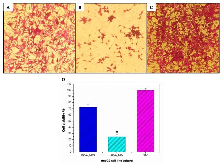 https://cdn.ncbi.nlm.nih.gov/pmc/blobs/db6a/6722760/e3a3ad916f1c/biomolecules-09-00320-g005.jpg