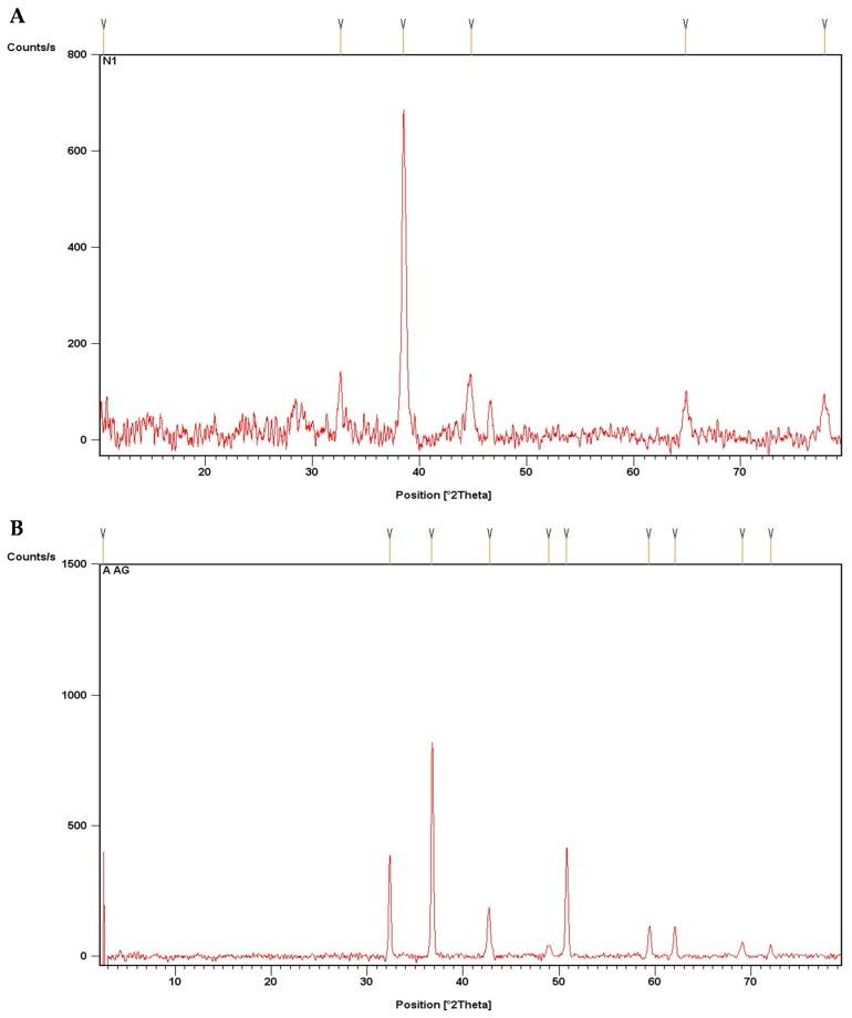 https://cdn.ncbi.nlm.nih.gov/pmc/blobs/db6a/6722760/ebc0bf604114/biomolecules-09-00320-g002.jpg
