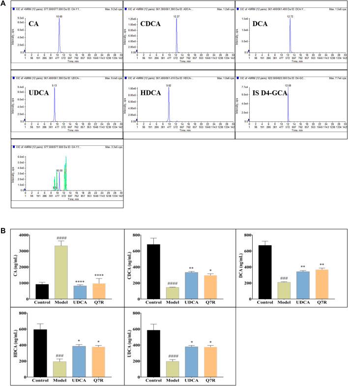 https://cdn.ncbi.nlm.nih.gov/pmc/blobs/db6c/9868710/2fea6d6435ed/fphar-13-1116257-g006.jpg