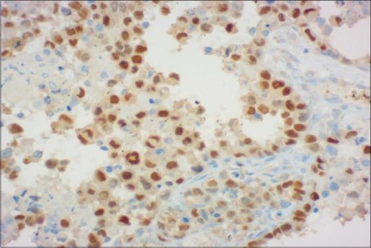 https://cdn.ncbi.nlm.nih.gov/pmc/blobs/db6d/10581309/ddb5934c786f/JOMFP-27-406-g002.jpg