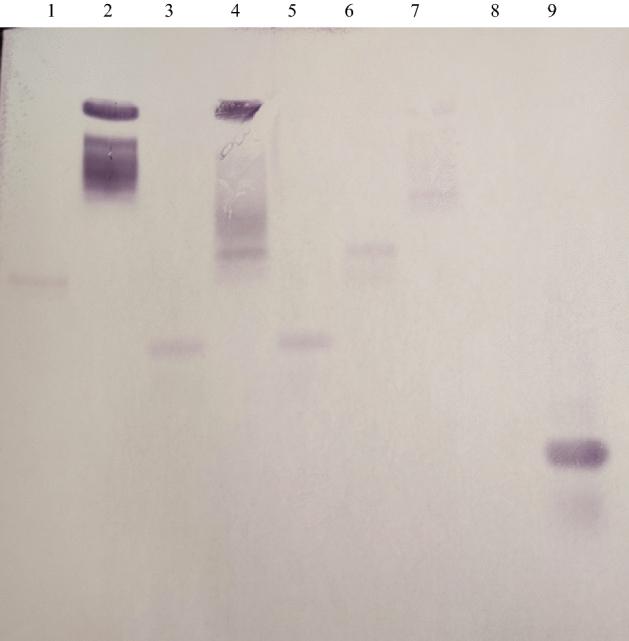 https://cdn.ncbi.nlm.nih.gov/pmc/blobs/db6d/8786841/4ef73752f303/41598_2022_5204_Fig2_HTML.jpg
