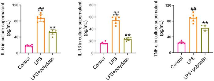 https://cdn.ncbi.nlm.nih.gov/pmc/blobs/db70/12317653/a81e8b099757/j_biol-2022-1009-fig004.jpg