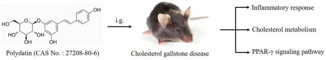 https://cdn.ncbi.nlm.nih.gov/pmc/blobs/db70/12317653/dcfa104616b5/j_biol-2022-1009-ga001.jpg