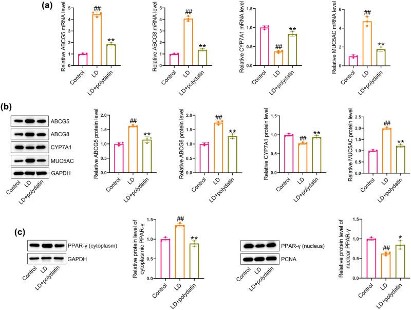 https://cdn.ncbi.nlm.nih.gov/pmc/blobs/db70/12317653/ef3cedf8ec2f/j_biol-2022-1009-fig003.jpg