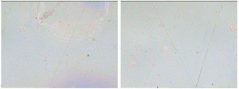 https://cdn.ncbi.nlm.nih.gov/pmc/blobs/db70/8538487/0b04750663fe/membranes-11-00788-g004.jpg