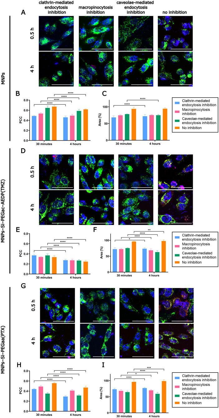 https://cdn.ncbi.nlm.nih.gov/pmc/blobs/db71/11561594/e8cca933255e/ao4c07415_0006.jpg