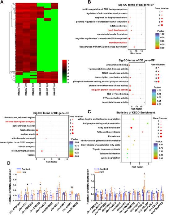 https://cdn.ncbi.nlm.nih.gov/pmc/blobs/db71/12079422/15f8f5e8b6bd/ADVS-12-2415563-g008.jpg
