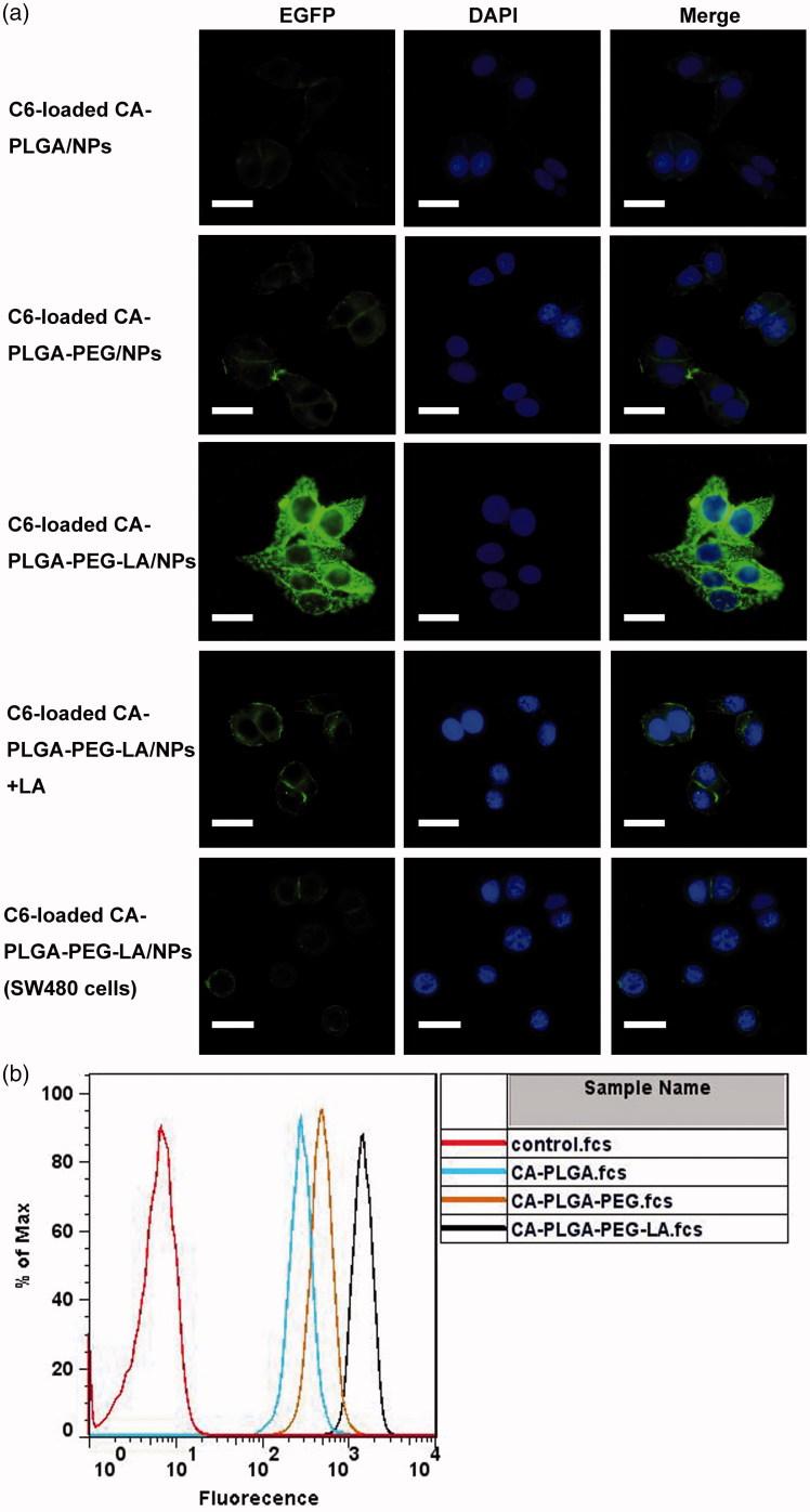 https://cdn.ncbi.nlm.nih.gov/pmc/blobs/db73/6586121/7f05de285e6f/IDRD_A_1625467_F0004_C.jpg