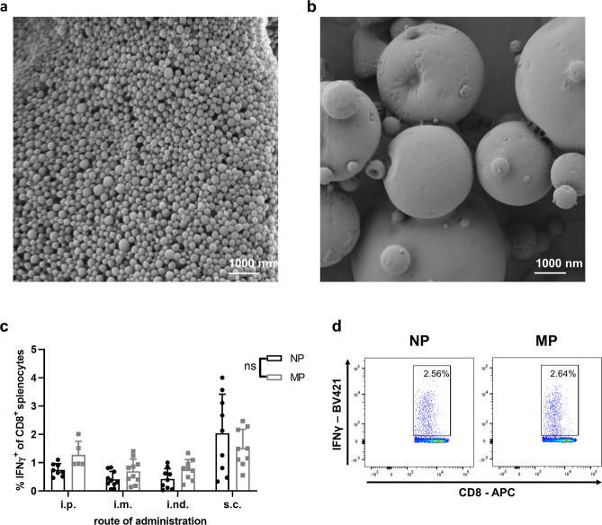 https://cdn.ncbi.nlm.nih.gov/pmc/blobs/db73/8131648/51dbb261d8d7/41467_2021_23244_Fig1_HTML.jpg