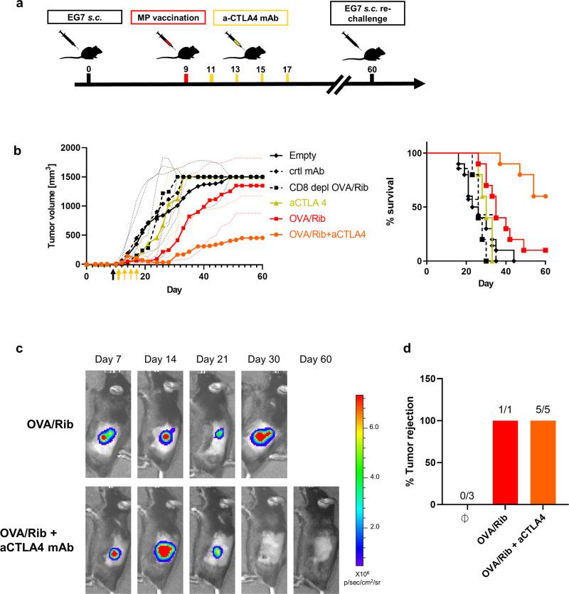 https://cdn.ncbi.nlm.nih.gov/pmc/blobs/db73/8131648/df2283b7b3d9/41467_2021_23244_Fig6_HTML.jpg