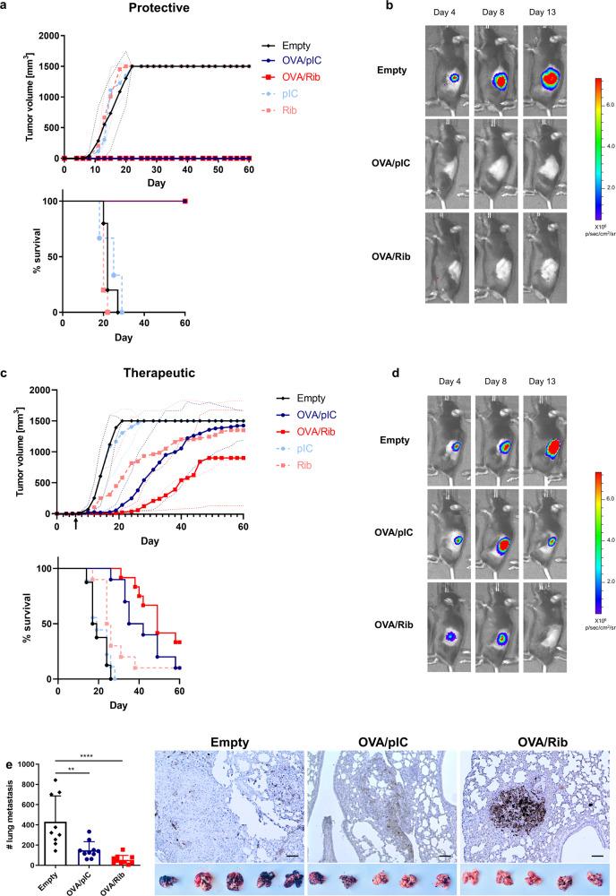 https://cdn.ncbi.nlm.nih.gov/pmc/blobs/db73/8131648/f5e1dce68642/41467_2021_23244_Fig5_HTML.jpg