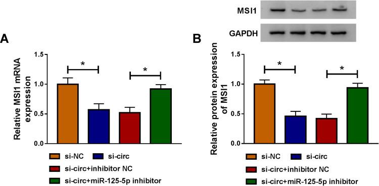 https://cdn.ncbi.nlm.nih.gov/pmc/blobs/db74/7649231/d539051ffd0a/CMAR-12-11257-g0008.jpg