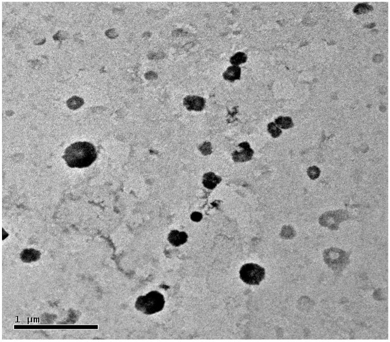 https://cdn.ncbi.nlm.nih.gov/pmc/blobs/db75/5302549/000f1f4bb1fa/nanomaterials-06-00002-g008.jpg
