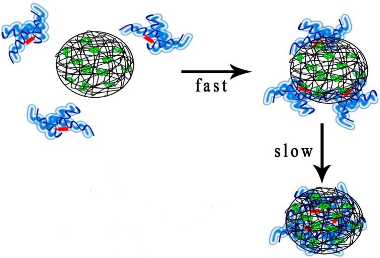https://cdn.ncbi.nlm.nih.gov/pmc/blobs/db75/5302549/dd0a8457f6c7/nanomaterials-06-00002-g003.jpg