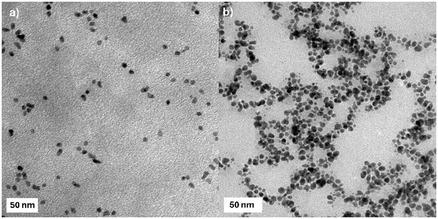https://cdn.ncbi.nlm.nih.gov/pmc/blobs/db77/12247028/6a08e9fd744b/CBIC-26-e202500104-g005.jpg