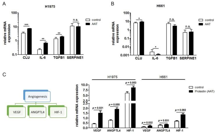 https://cdn.ncbi.nlm.nih.gov/pmc/blobs/db7a/6770941/677312a44b89/cancers-11-01306-g007.jpg