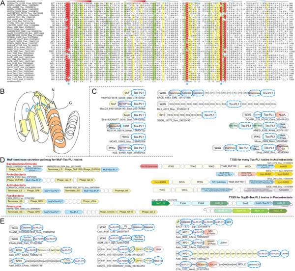https://cdn.ncbi.nlm.nih.gov/pmc/blobs/db7b/3482391/9e6c701fdc67/1745-6150-7-18-3.jpg