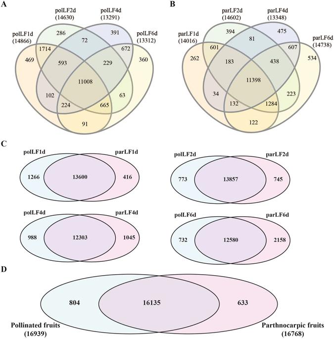 https://cdn.ncbi.nlm.nih.gov/pmc/blobs/db7b/5511223/e162296632b7/41598_2017_5724_Fig1_HTML.jpg