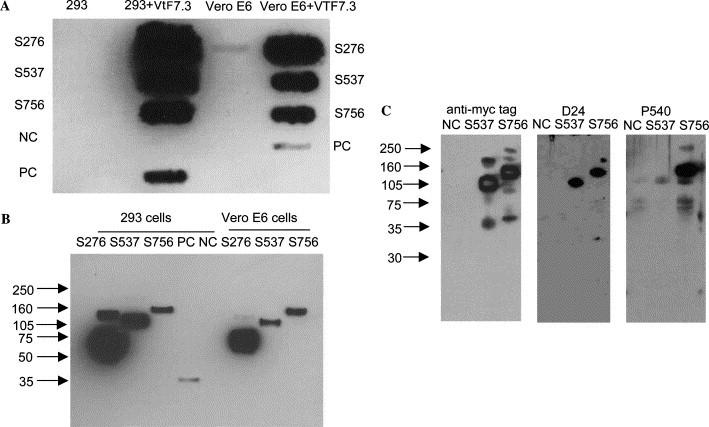 https://cdn.ncbi.nlm.nih.gov/pmc/blobs/db7c/7111010/5074911b1071/gr2.jpg