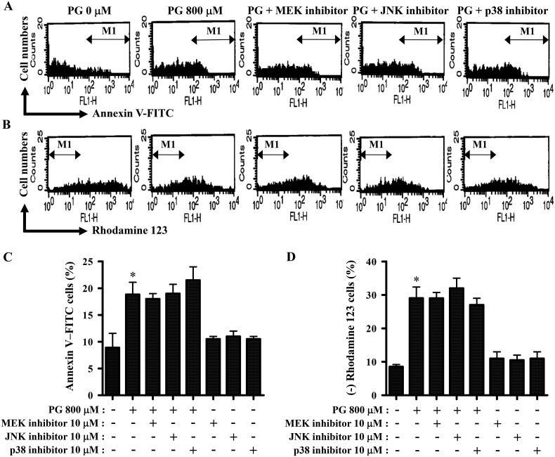 https://cdn.ncbi.nlm.nih.gov/pmc/blobs/db7f/10878342/32d10e0fe6f0/IANN_A_2319853_F0005_B.jpg