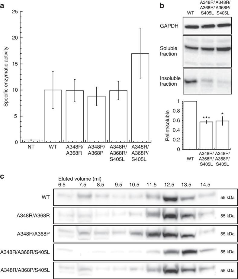 https://cdn.ncbi.nlm.nih.gov/pmc/blobs/db7f/4770091/80f2713ff49c/ncomms10816-f5.jpg