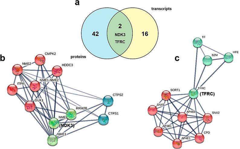 https://cdn.ncbi.nlm.nih.gov/pmc/blobs/db80/10012269/3df796692f10/id2c00457_0006.jpg