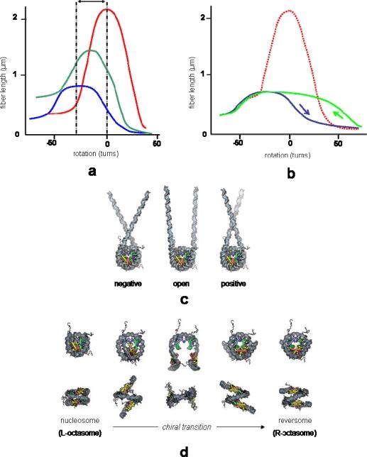 https://cdn.ncbi.nlm.nih.gov/pmc/blobs/db80/2871131/50ce2c5b6ffe/ijms-11-01557f4.jpg
